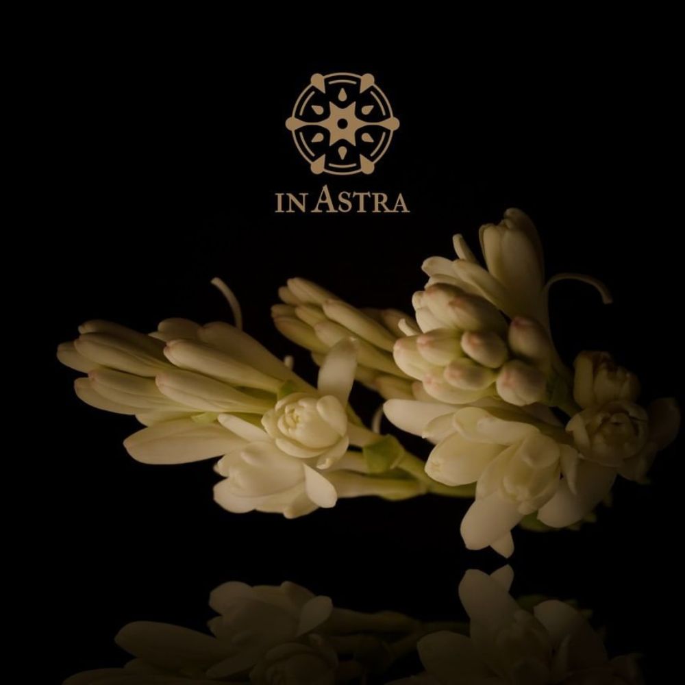 In Astra Tistar Eau de Parfum _ 50ML (2)